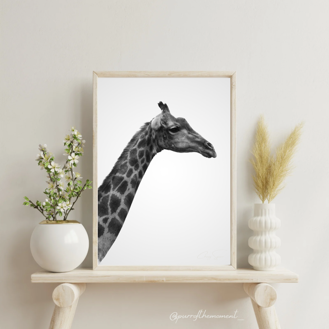 Monochrome Giraffe