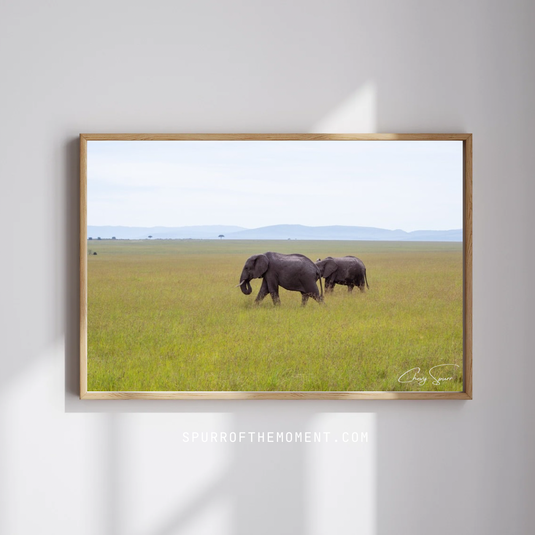 Elephants of the Maasai Mara