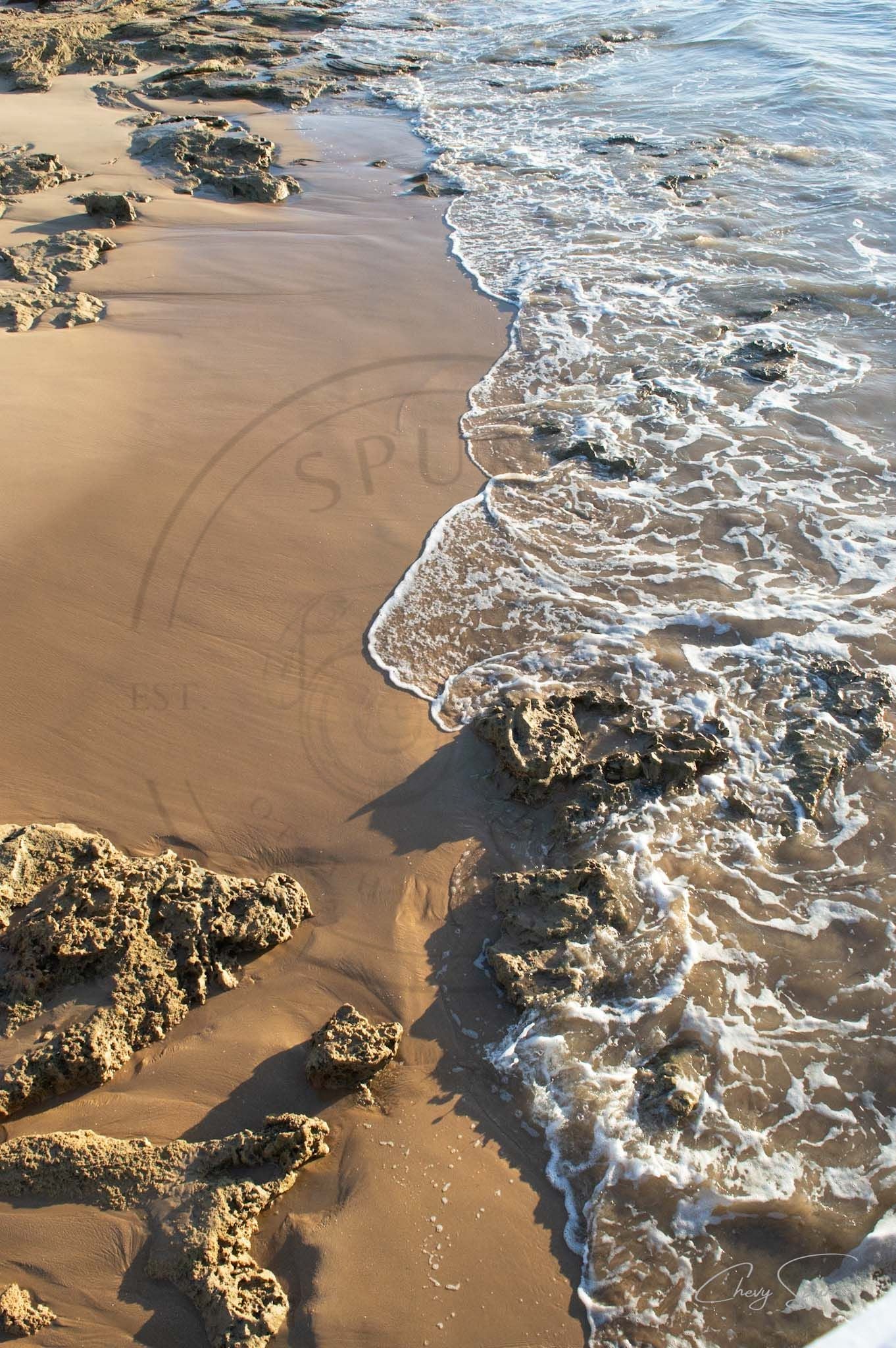 Sunlit Shoreline